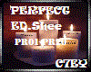 C>EdShee PERFECT rmx.msc