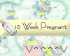 10 Weeks Pregnant (Y)