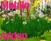 Daffodils Addon