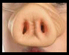Pig Nose - Sucker