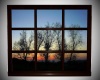 Sunset w/trees windows