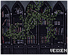 ✧Ivy Library