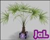 [JaL]BnfSj Plant