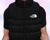 TNF Gilet