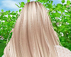 Woman Blonde Hair