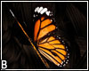 F.A.Y. Hair Butterfly An