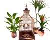 Birds Cage +plants