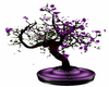 ~M~ Deep Purple Tree