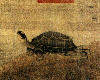 Chang Si - Turtle