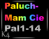 K4 Paluch -Mam cie