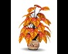 FA: FALL FLOWER POT