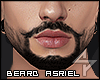 s. Asriel Beard Mx