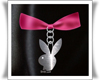 (BD) Playboy Ribbon