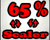 65% Scaler Avatar Resize