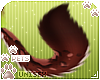 [Pets] Chaso | tail v2