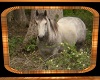 Custom Cowboy Pic 2