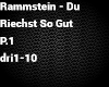 Rammstein-Du Riechst P1