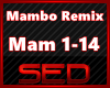 |S| Mambo Remixed