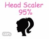 Head Scaler 95%