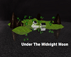 UnderThe MidNight Moon