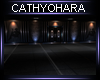 Club Penthouses