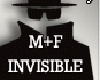 Invisible Avatar F+M