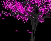 Forever pink tree