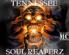 Ten Soul Reaperz Chopper