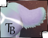 T: Pastel Babe Tail V3