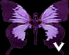 butterfly blow kiss