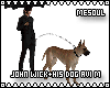 John Wick + Dog Avi M