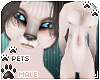 [Pets]Nefer | abless fur