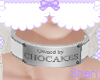 Owned by Chocakes Collar