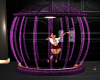 purplee dance cage ani