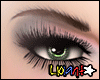 Ⓛ Lara Brows&lashes 2