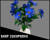 Blue Cosmos Flowers