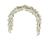 Wedding Rose Arch
