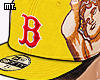 🧢. Boston Back Cap