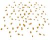 Gold Rose Petals
