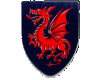 Medieval Dragon Shield