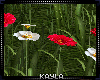Flowers Garden