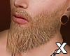 ♚Beard✭X