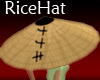 Rice Hat