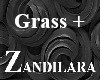 /Z/Pathway-Plus/Grass