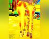 SummerHeatSexyPant