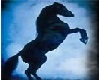 Horse Rug (blue)