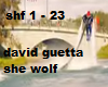 david gates she wolf