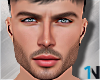 Ansel v1