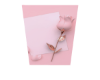 CL Cutout ALT 33