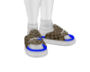 Slide Gusci t1